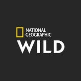 82. National Geographic Wild